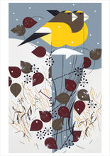 Load image into Gallery viewer, charley harper - birds - boxed holiday card assortment