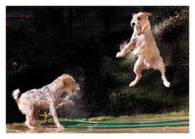 Load image into Gallery viewer, greeting card surprise bag - English - all birthday