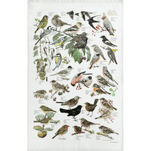 Load image into Gallery viewer, koustrup &amp; co. - garden birds tea towel
