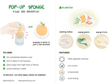Load image into Gallery viewer, yellow duck pop-up sponge