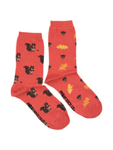 Load image into Gallery viewer, women&#39;s socks - squirrel, acorn &amp; leaf
