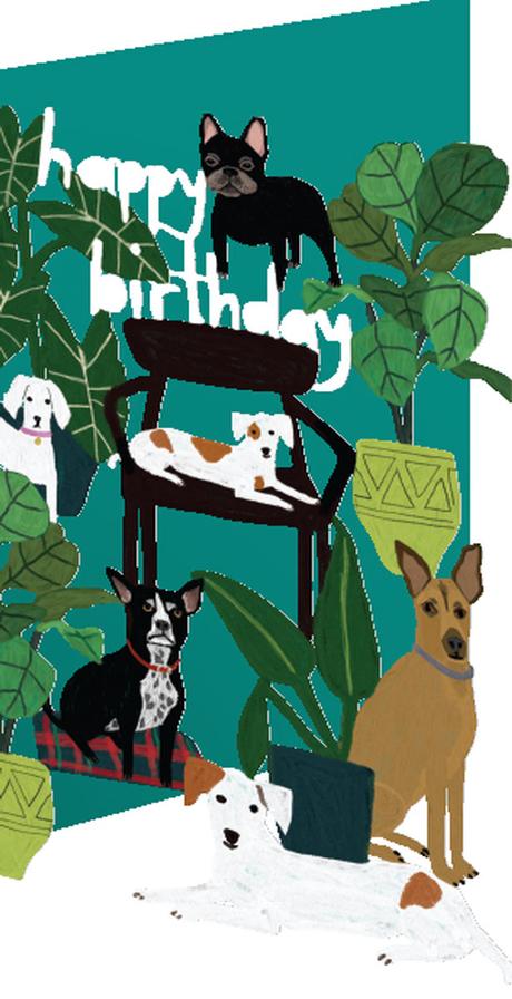 birthday card - dogs - save 50%