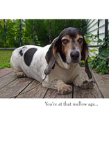 Load image into Gallery viewer, greeting card surprise bag - English