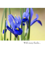 Load image into Gallery viewer, greeting card surprise bag - all thank you