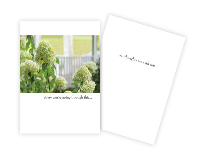 colour photo of green hydrangea flowers on a white greeting card