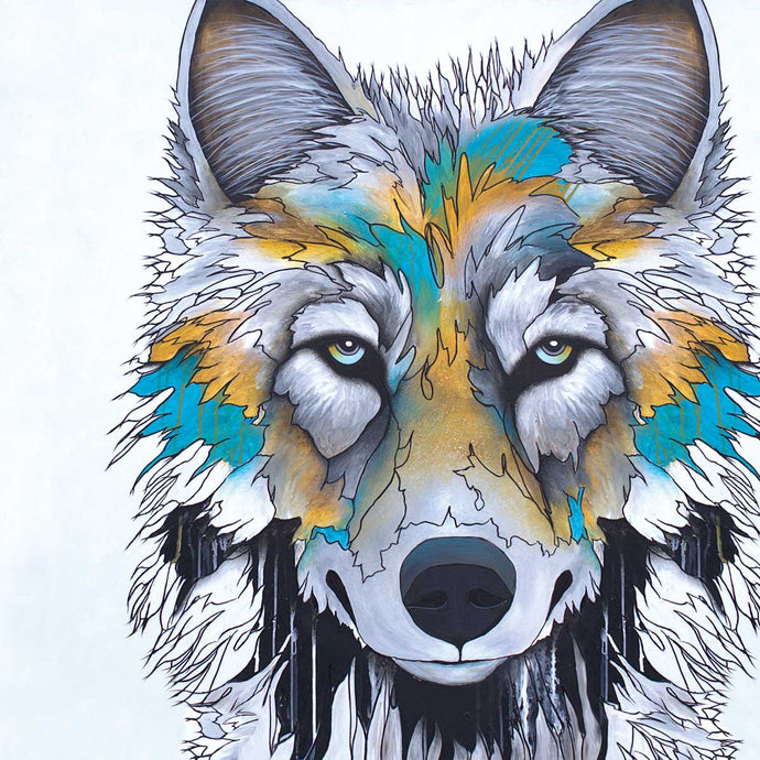 Indigenous art illustration of a wolves face close up in greys and teal 