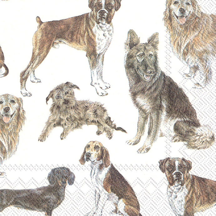 an illustration of various breeds of dogs across a white background 