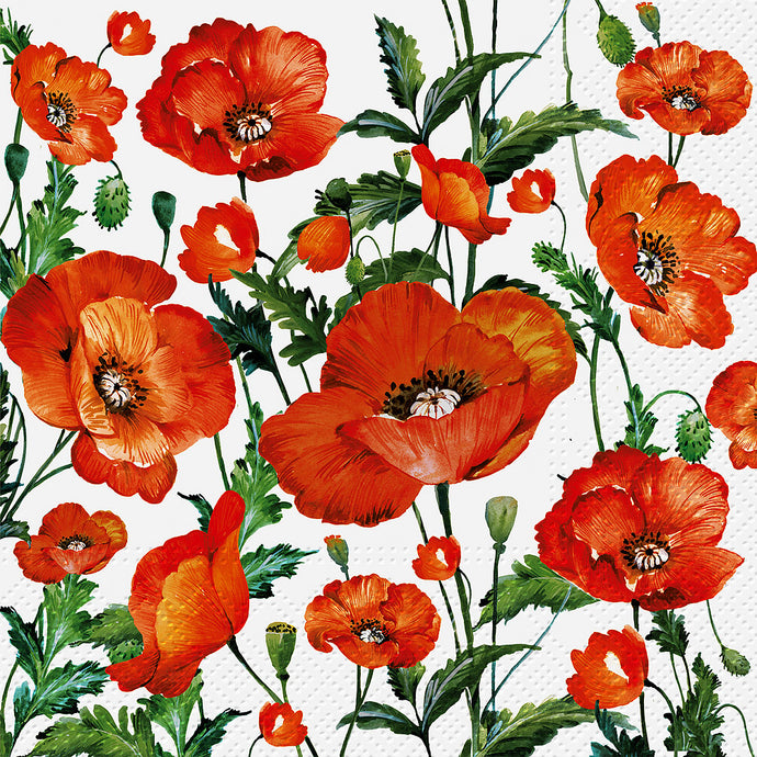 a white paper napkin covered in red poppy flowers 