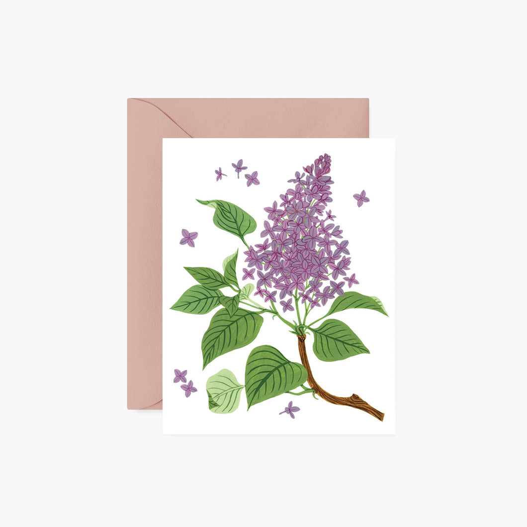 lilac  card