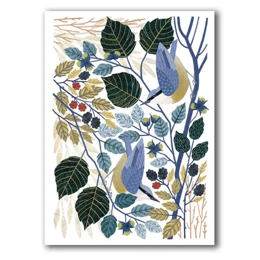 nuthatches - blank card