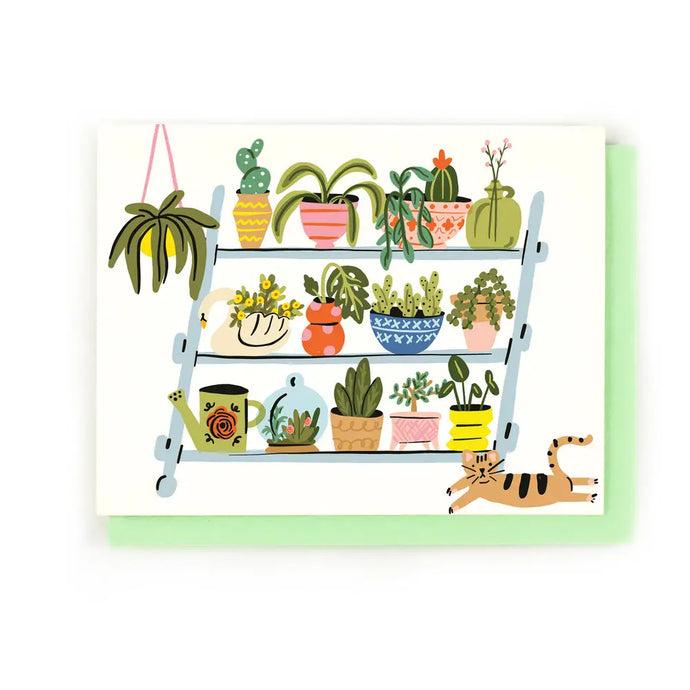 greeting card with illustration of three shevels covered in various plants and succulents with a little cat on the floor. no text