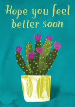 Load image into Gallery viewer, Bargain Bundle - Get Well Assortment
