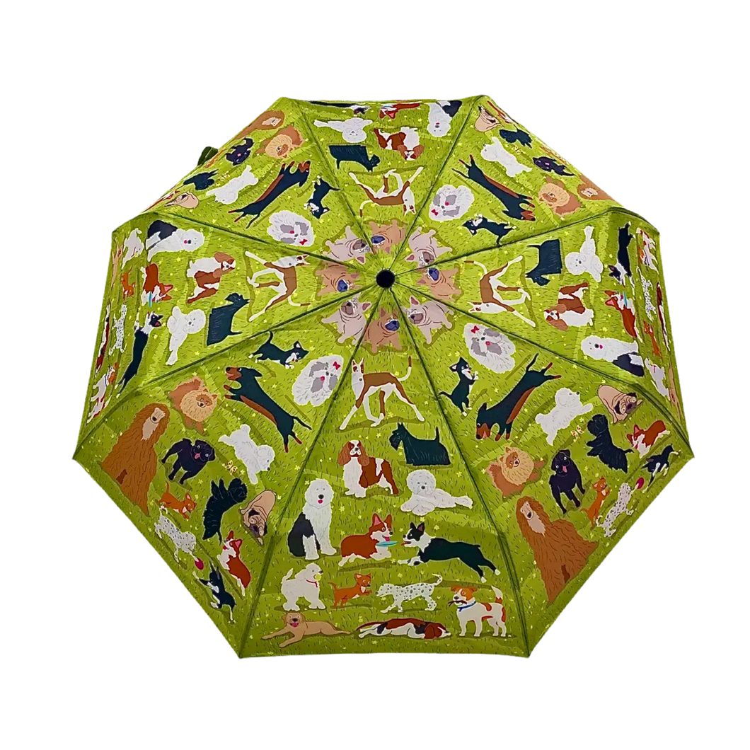 dog park umbrella - naked decor