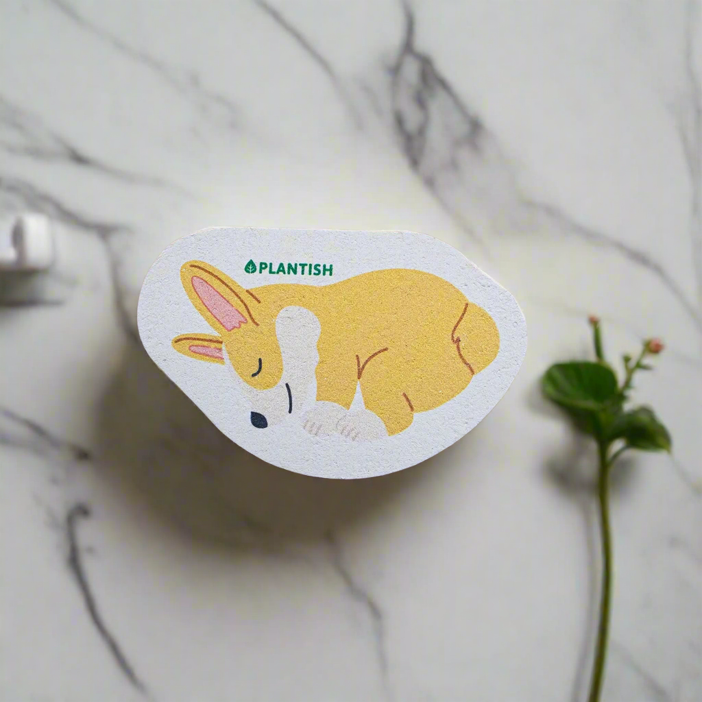 corgi pop-up sponge