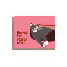 画像をギャラリービューアに読み込む, Bargain Bundle - Dog &amp; Cat Assortment
