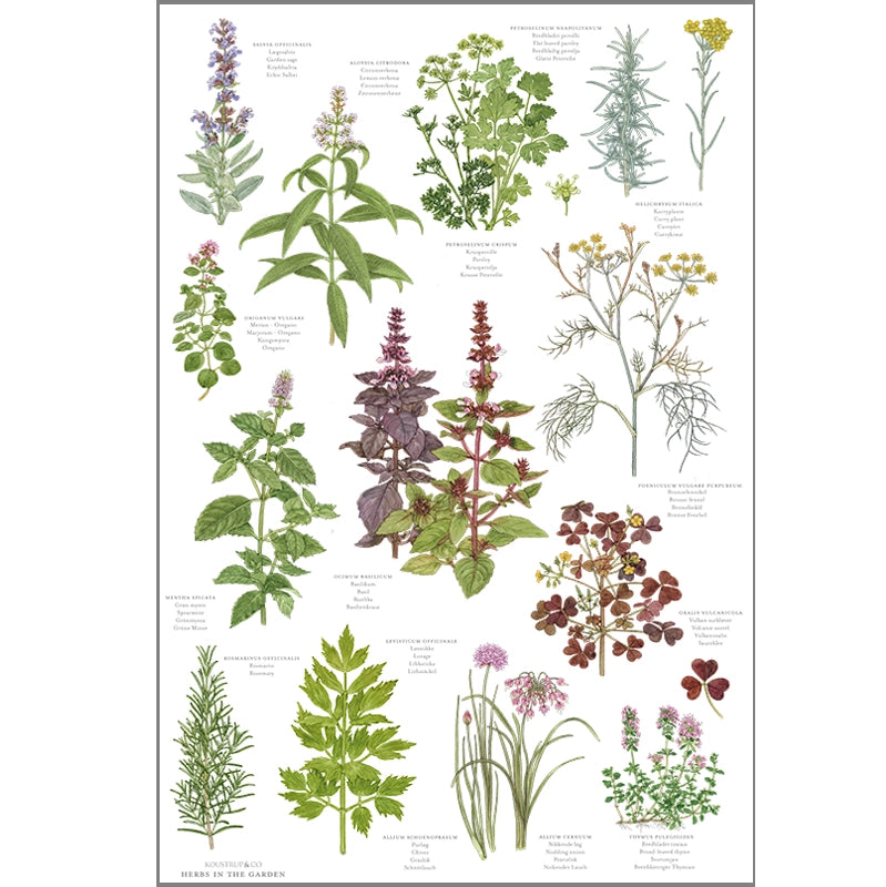 koustrup & co. -  herbs  - tea towel