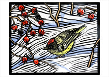 Load image into Gallery viewer, molly hashimoto  - winter birds -  boxed holiday card assortment
