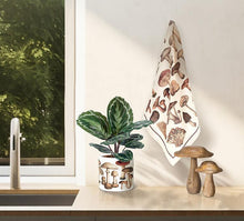 Load image into Gallery viewer, a kitchen counter with a mushroom motif tea towel and small green planter with mushroom decor 
