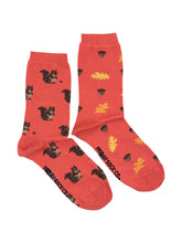 Load image into Gallery viewer, a pair of socks with squirrels and acorns on them 
