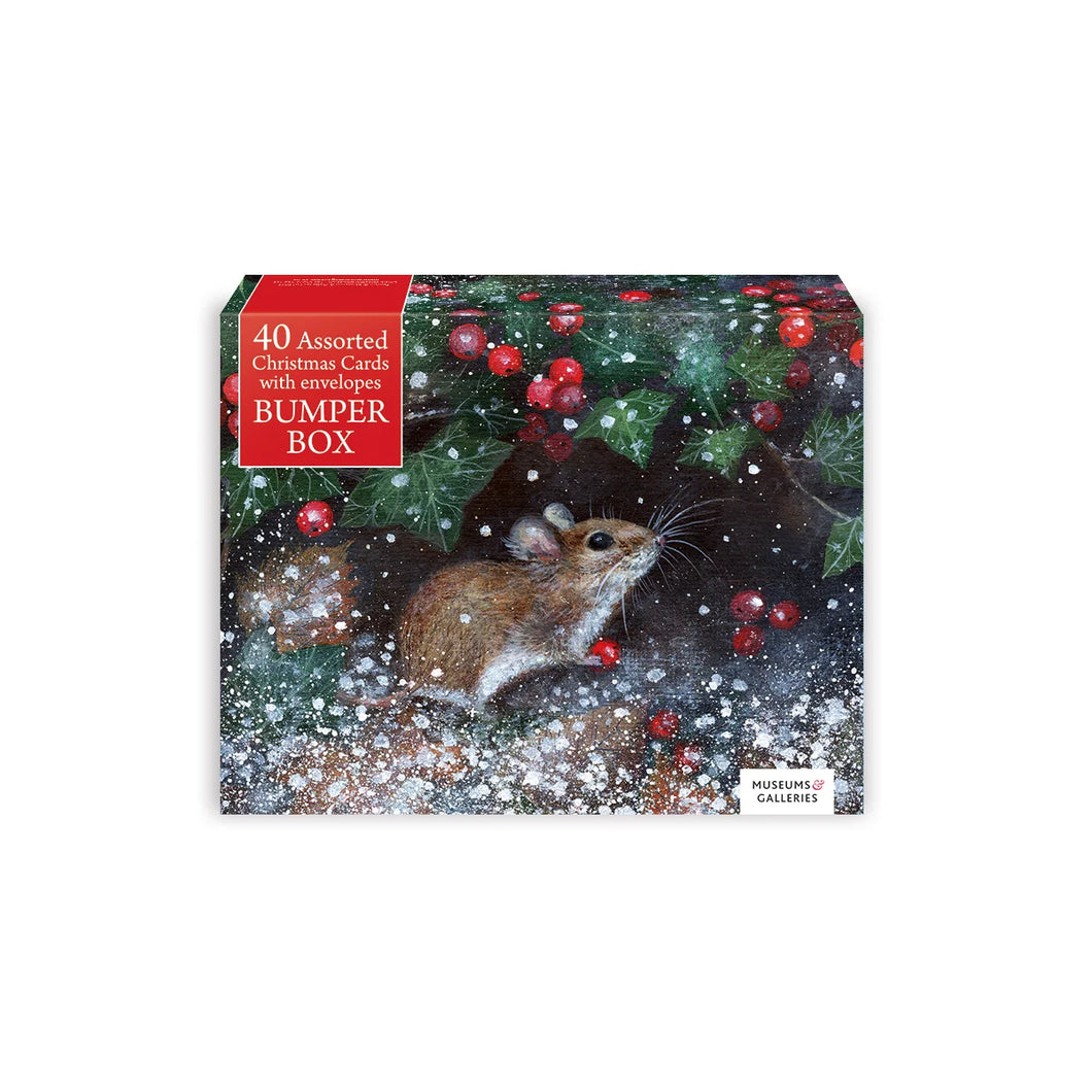 museums & galleries  Christmas - boxed assortment - save 50%