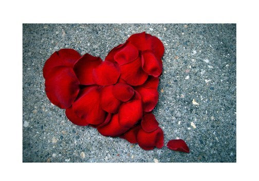 a greeting card with a photo of a cluster of red rose petals that make the shape of a heart.