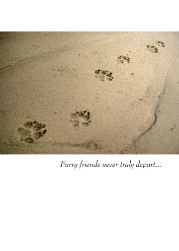 a greeting card with a colour photo of a beach and paw prints in the sane. text furry friends never truly depart...