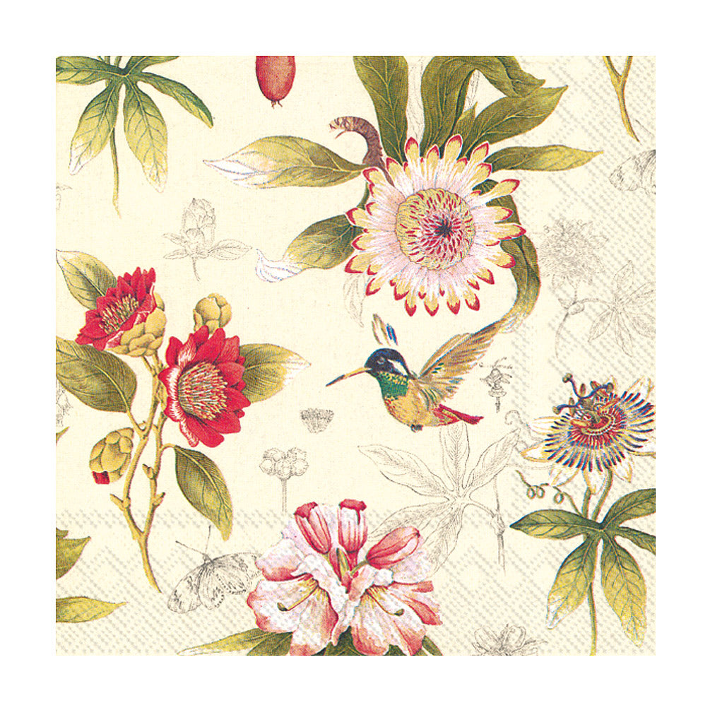 paper napkins with hummingbirds and exotic flowers such as protea 