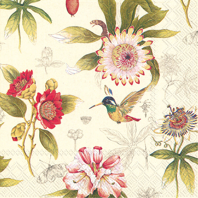 paper napkins with hummingbirds and protea flowers 