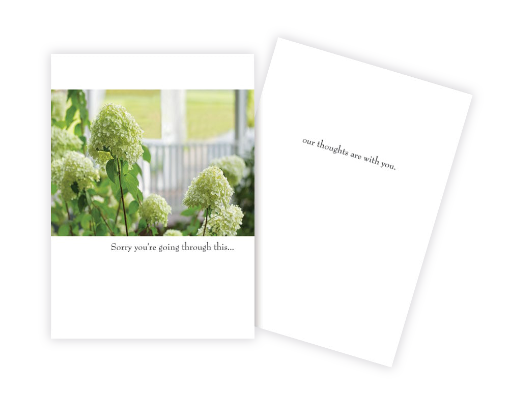 colour photo of green hydrangea flowers on a white greeting card