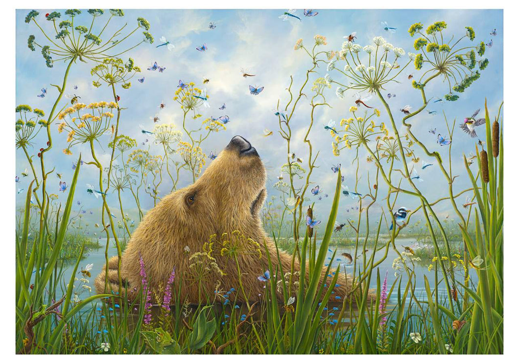 colour illustration of a bear laying on its back in a pond among the wild flowers