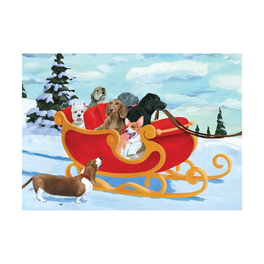 old fashioned big winter sled full of different cute dogs 