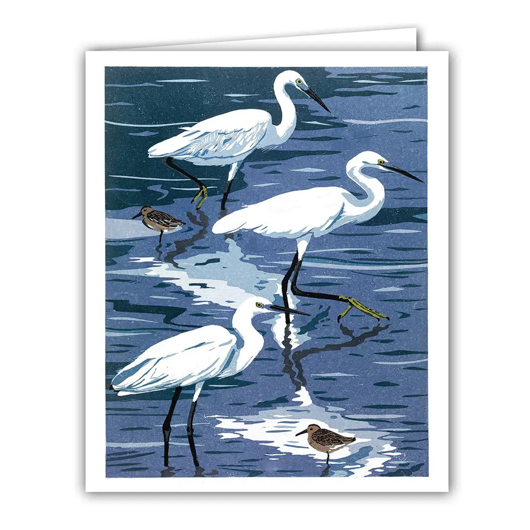 egrets & dunlin - blank card