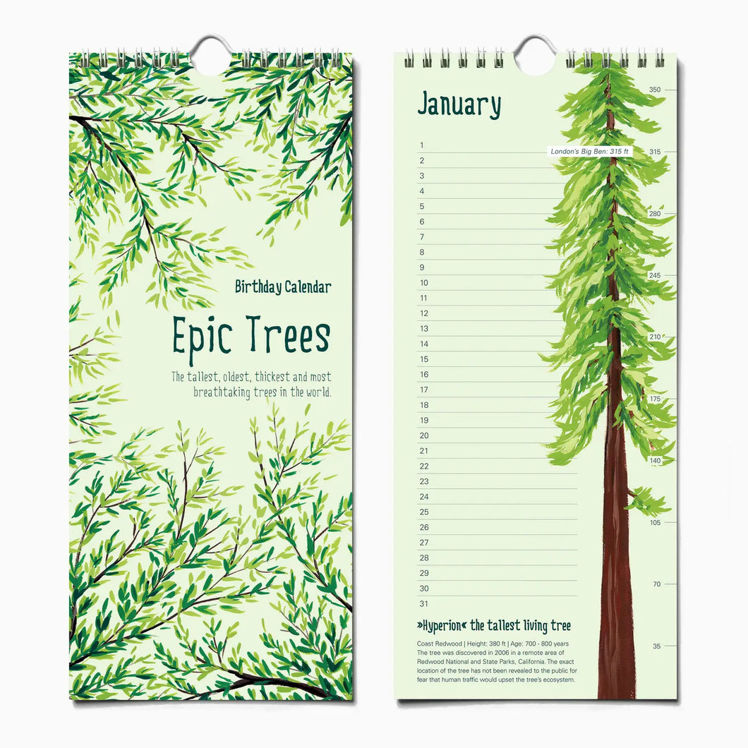 A CALENDAR WITH VARIOUS ILLUSTRATIONS OF TREES. PERPETUAL CALENDAR 