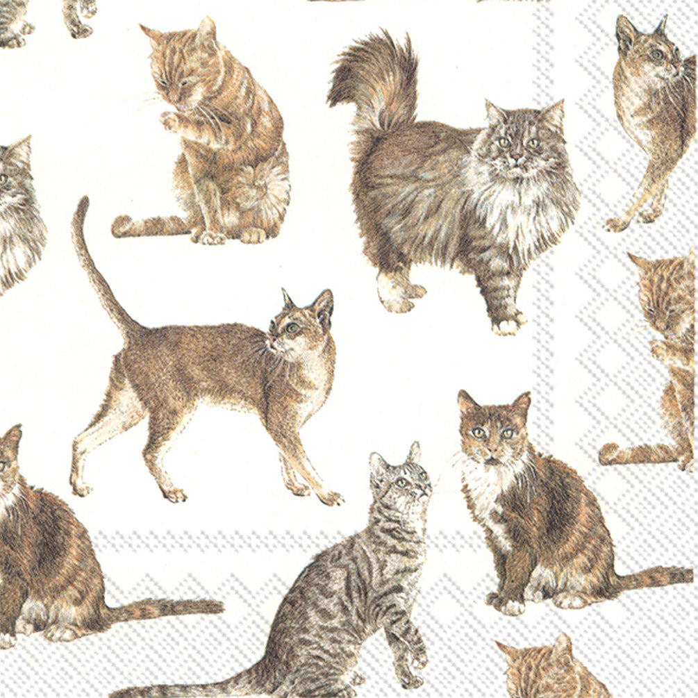 an illustration of assorted cats on white napkins