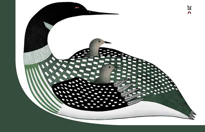 an Indigenous illustration of a loon and 2 babies, white and black