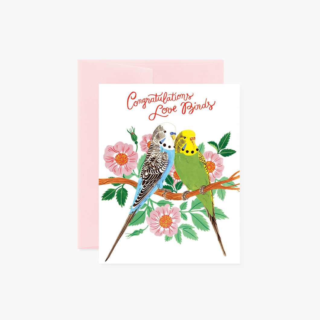 colour illustration of two budgie birds amidst flowers 