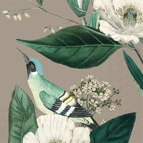 colour illustraion of a bird in flowers and large green leaves 