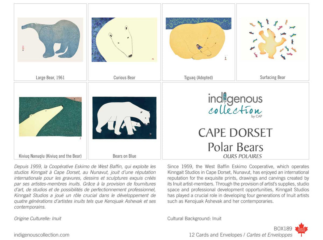 a gift box set of notecards depicting various polar bears of Inuit style artwork 