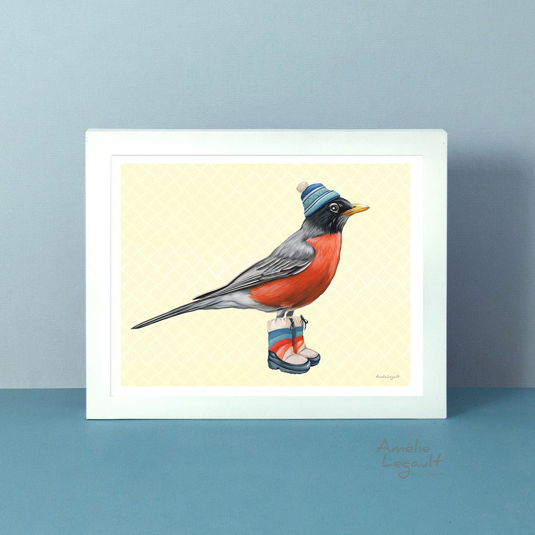 North American robin art print - save 70%