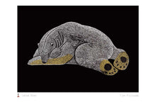Load image into Gallery viewer, Cape Dorset -  the wild arctic boxed notes

