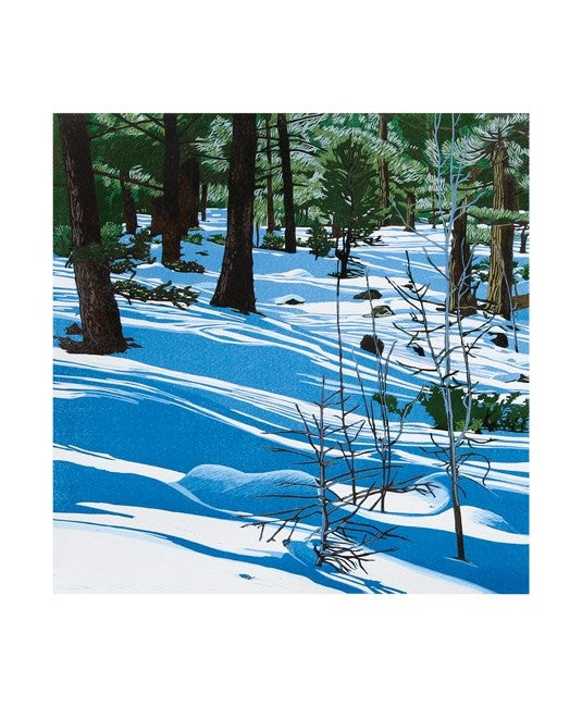 colour illustration of a snowy forest in the shows of light from the moon