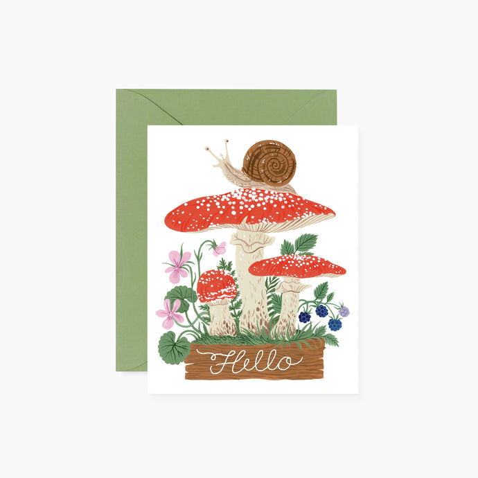 a whimsical illustration of red and white mushrooms or toad stols with a large brown snail on top script at bottom hello in white on white back drop with sage green envelope 