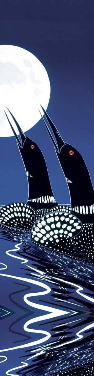 colour illustration of 2 common loons on the water with full moon 