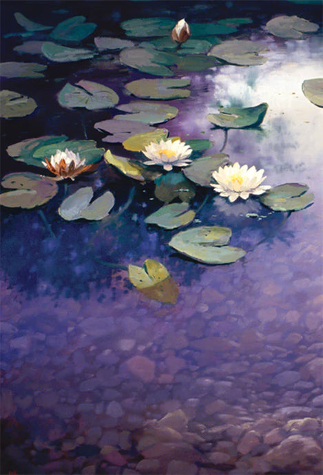 a greeting card with image of a water lily pond 