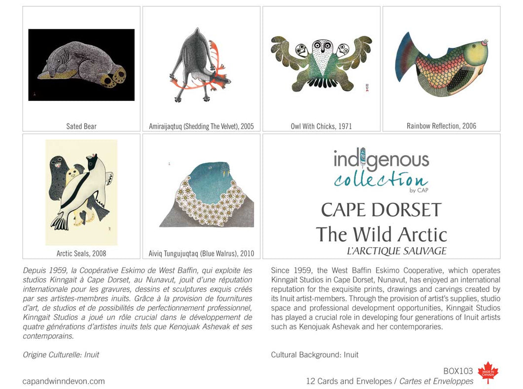 Cape Dorset -  the wild arctic boxed notes